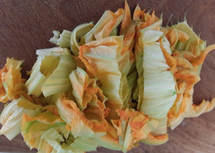 fiori di zucca 