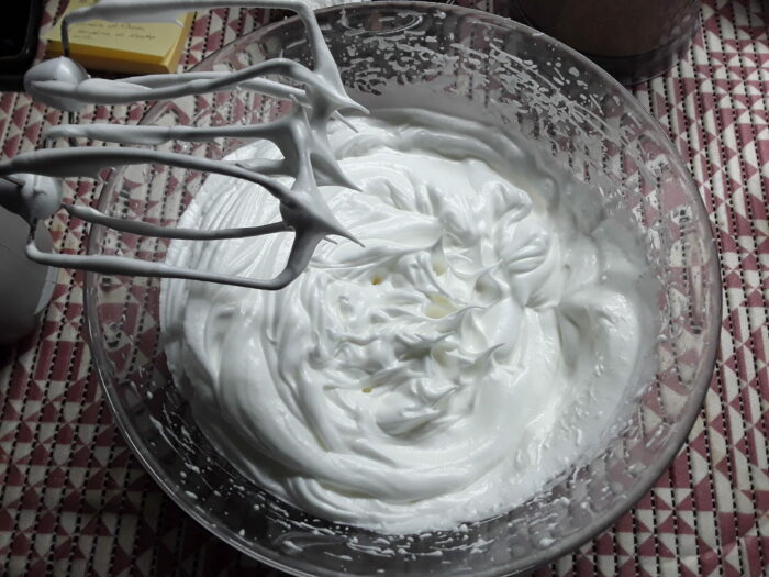 Albumi montati a neve ferma