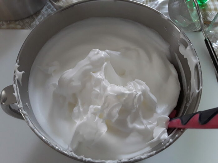 Albumi montati a neve