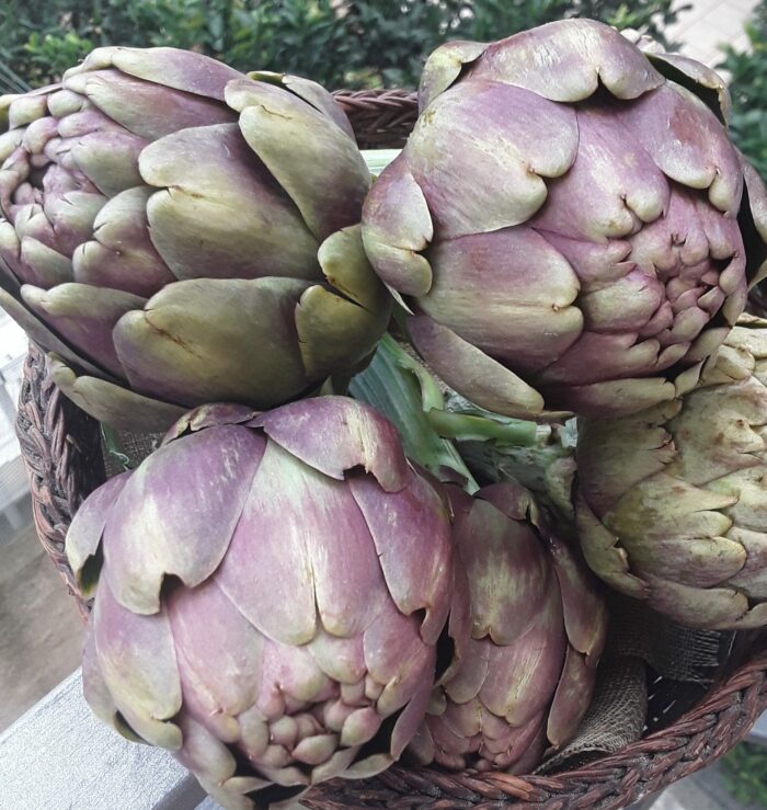 Carciofi