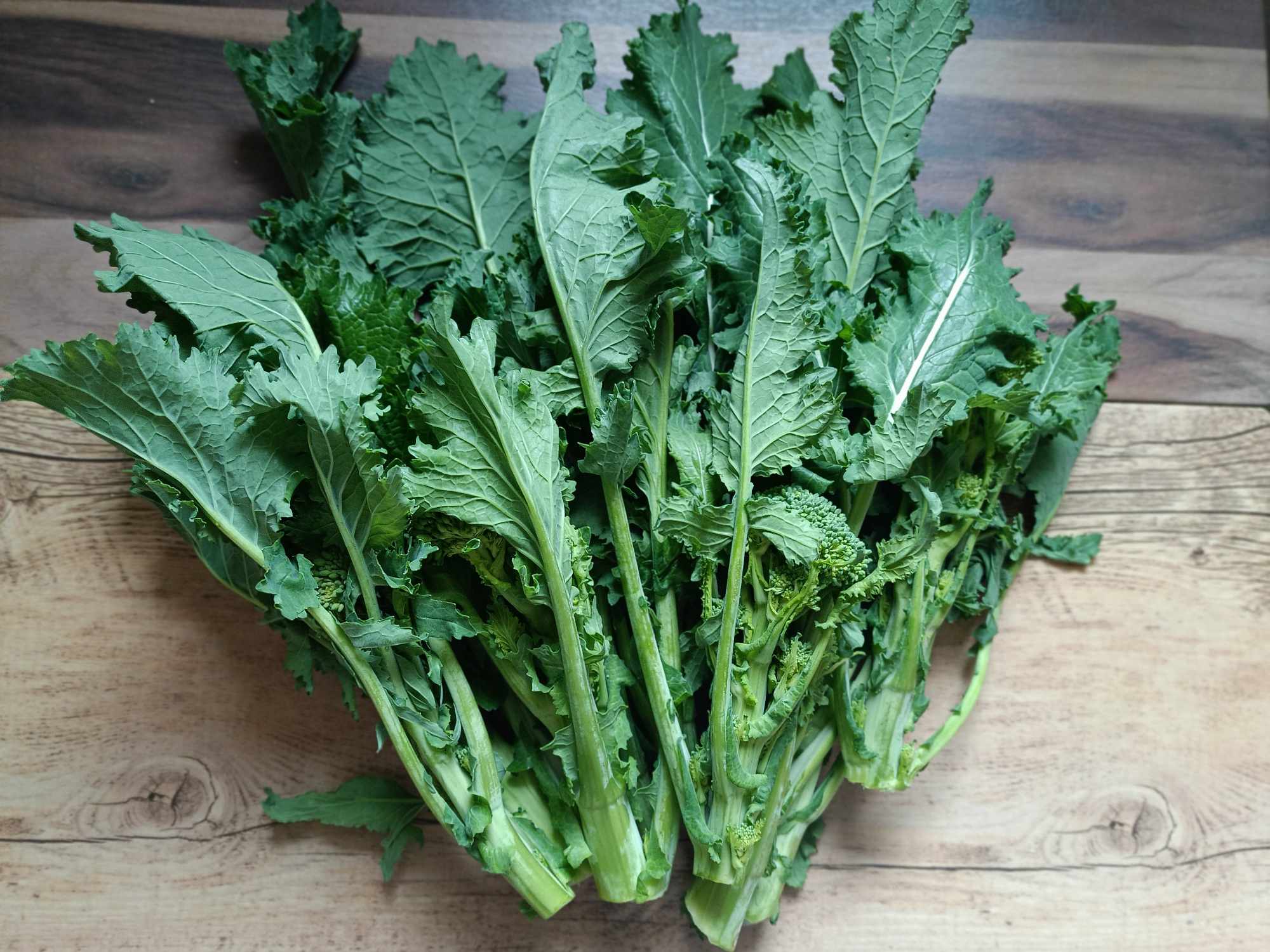 cime di rapa