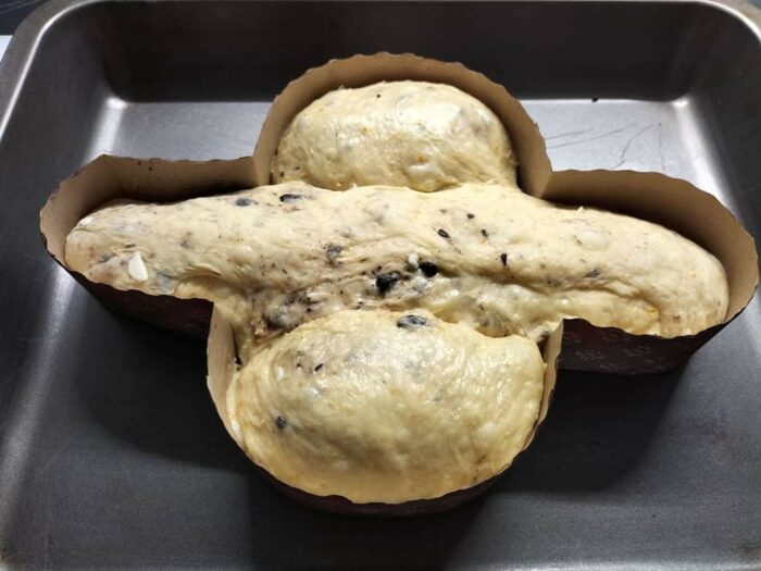 Colomba cioccolato a lievitare nello stampo