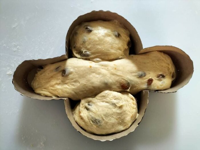 Colomba pasquale a lievitare