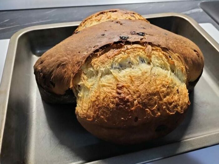 Colomba cioccolato cotta