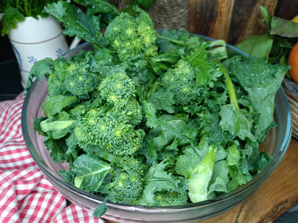 cime di rapa