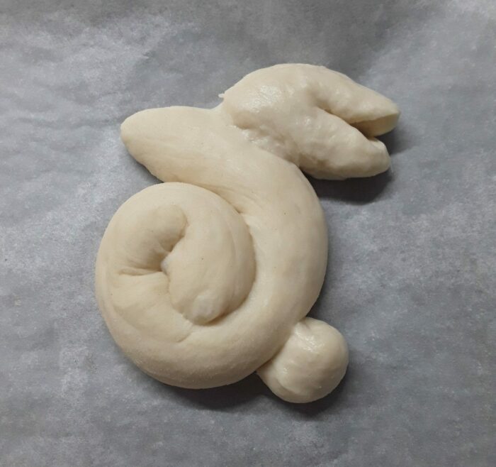 formatura coniglietti