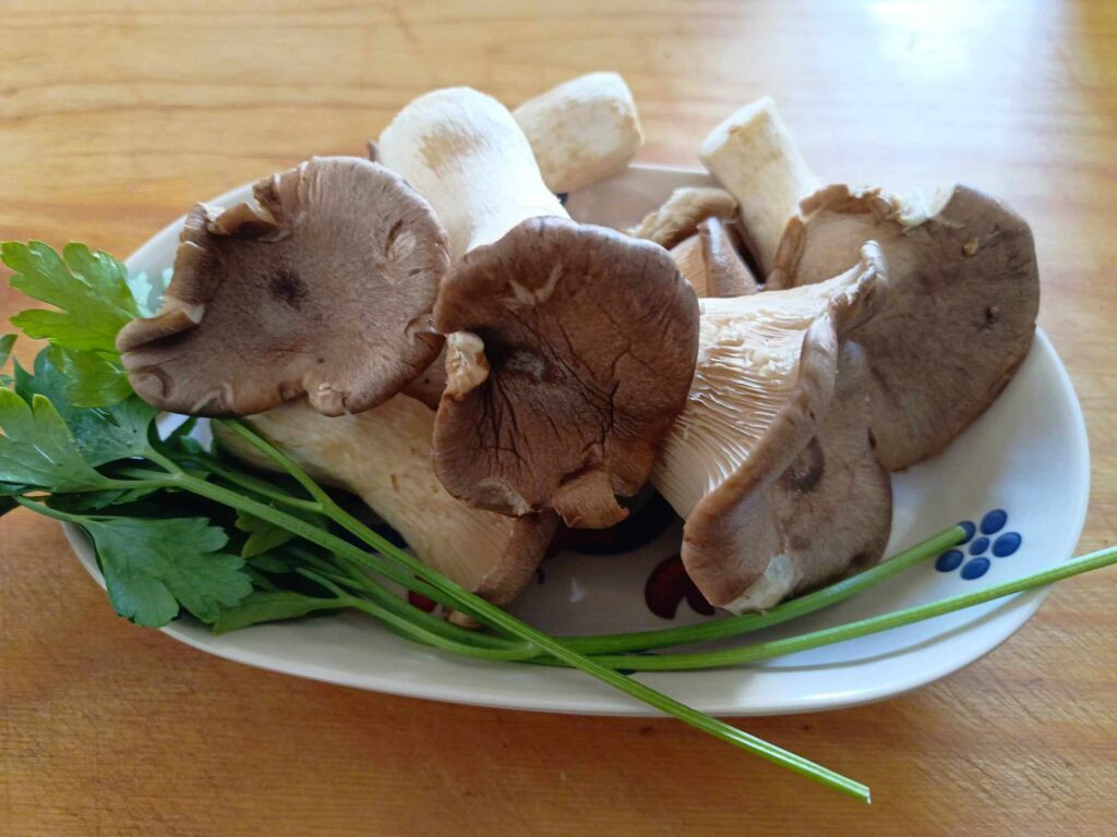 funghi cardoncelli
