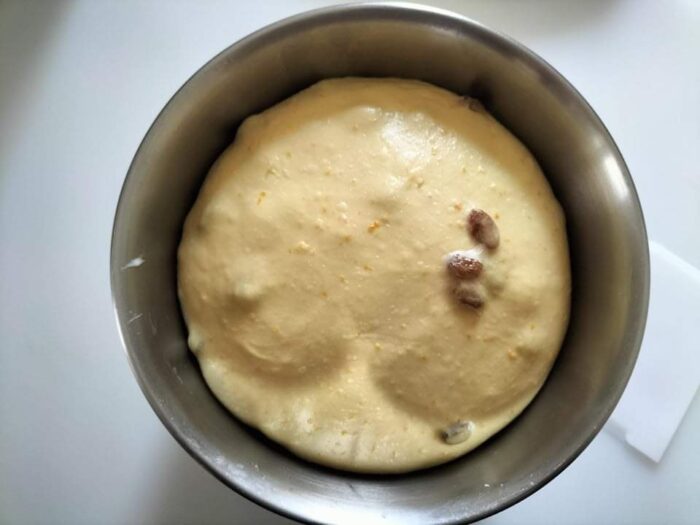 Impasto Colomba Pasquale lievitato