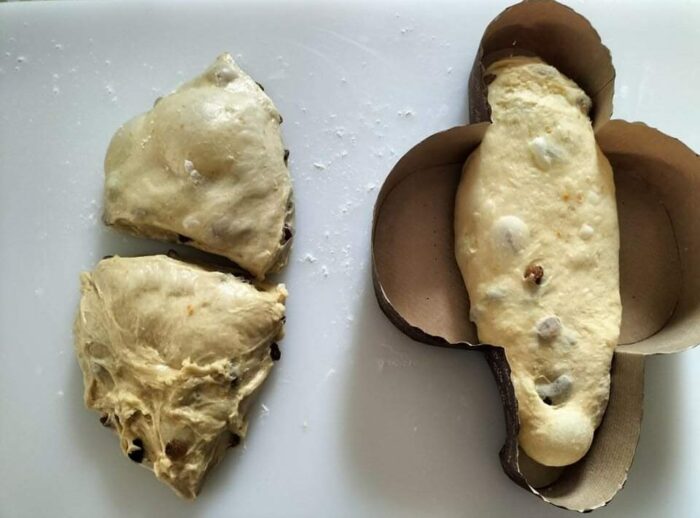 impasto nello stampo colomba