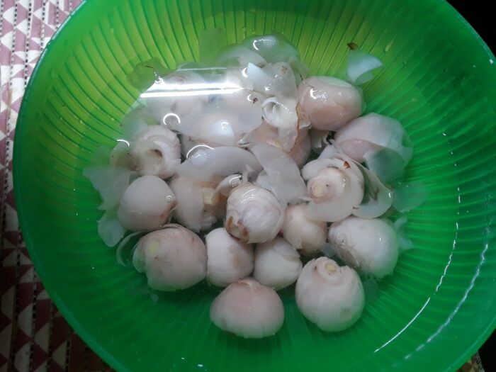 Lampascioni bolliti in acqua