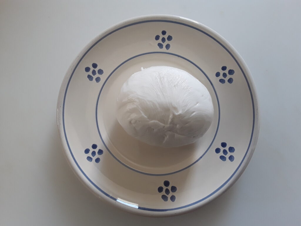 mozzarella fior di latte