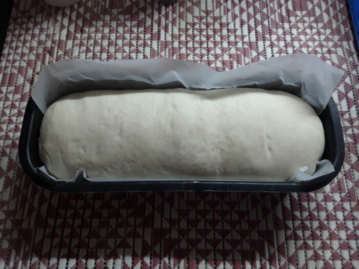 Pan bauletto lievitato