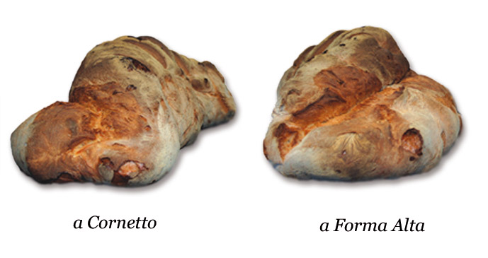 Pane di Matera