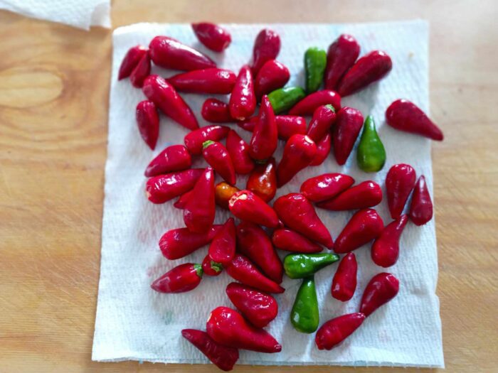 Peperoncini piccanti 
