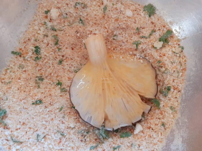 panatura funghi