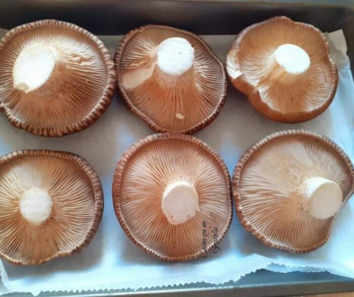 funghi cardoncelli