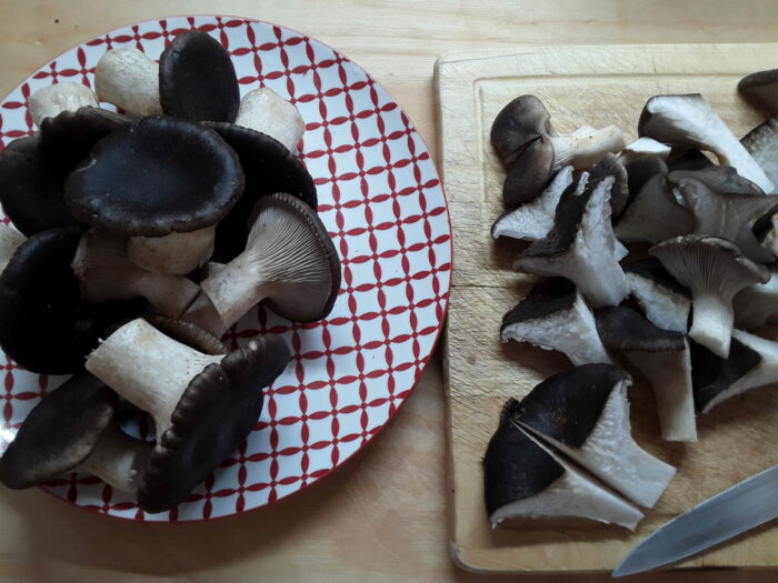 Taglio funghi Taglio funghi