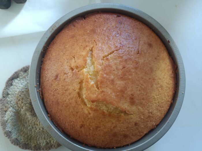 torta torta