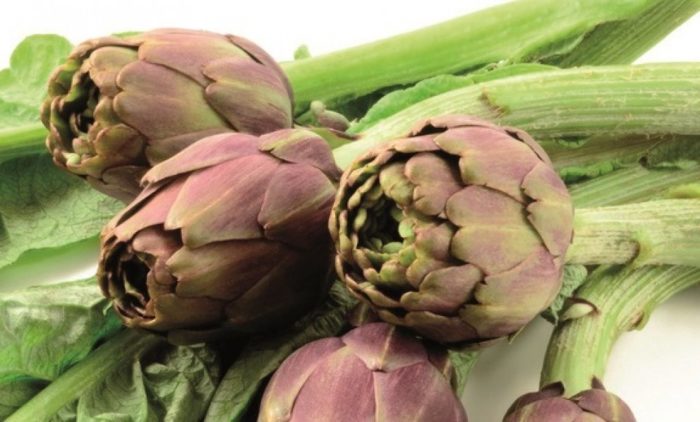 carciofi carciofi