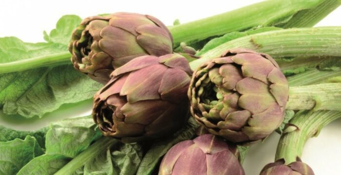 carciofi carciofi