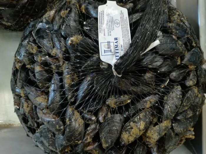 cozze rete