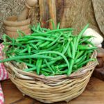 Fagiolini