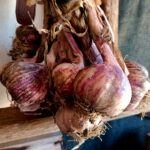 Aglio