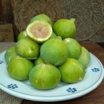 fichi