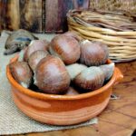 Castagne