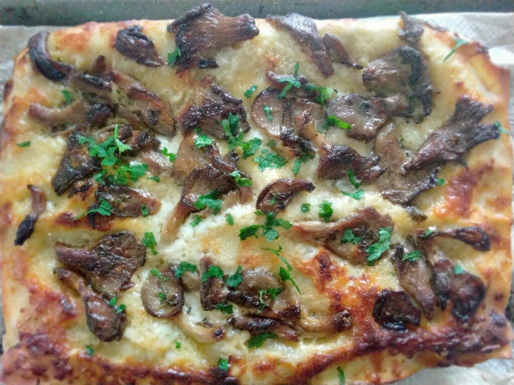 Lasagne bianca ai funghi e salsiccia
