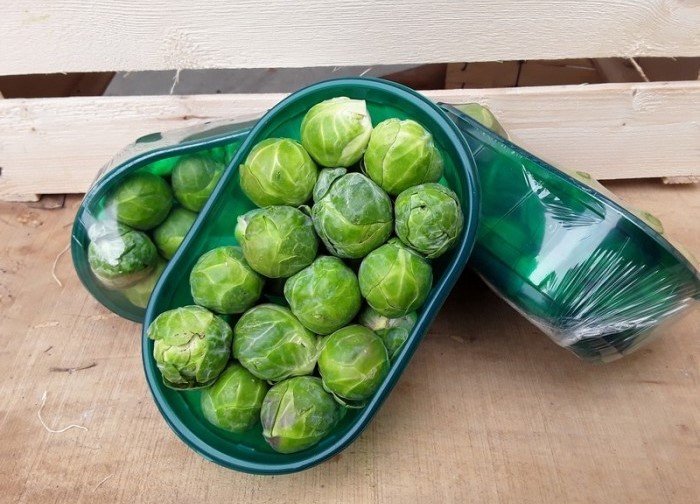 Cavoletti di Bruxelles